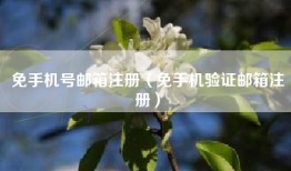 免手机号邮箱注册（免手机验证邮箱注册）