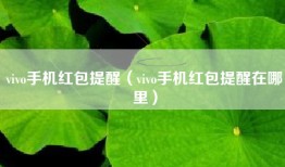 vivo手机红包提醒（vivo手机红包提醒在哪里）