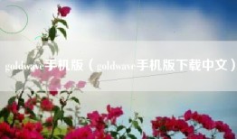 goldwave手机版（goldwave手机版下载中文）