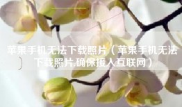 苹果手机无法下载照片（苹果手机无法下载照片,确保接入互联网）