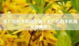 无广告的手机浏览器（无广告的手机浏览器推荐）