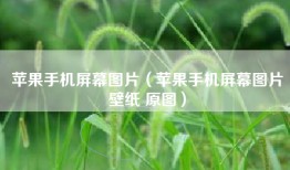 苹果手机屏幕图片（苹果手机屏幕图片壁纸 原图）