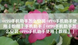 OPPO手机助手怎么安装 OPPO手机助手使用【教程】手机助手「OPPO手机助手怎么安装 OPPO手机助手使用【教程】」