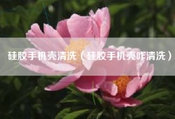 硅胶手机壳清洗（硅胶手机壳咋清洗）