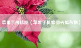 苹果手机修图（苹果手机修图去掉杂物）