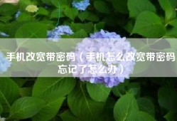 手机改宽带密码（手机怎么改宽带密码忘记了怎么办）