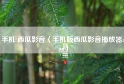 手机 西瓜影音（手机版西瓜影音播放器app）