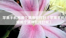 苹果手机用哪个清理软件好（苹果手机用哪个清理软件好呢）