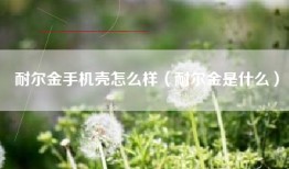 耐尔金手机壳怎么样（耐尔金是什么）