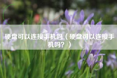 硬盘可以连接手机吗（硬盘可以连接手机吗？）