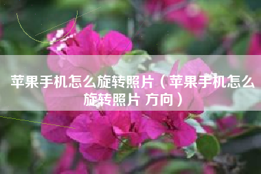 苹果手机怎么旋转照片（苹果手机怎么旋转照片 方向）