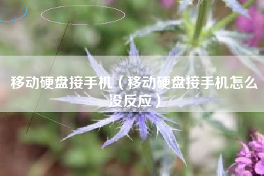 移动硬盘接手机（移动硬盘接手机怎么没反应）