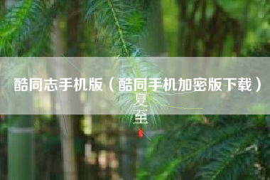 酷同志手机版（酷同手机加密版下载）