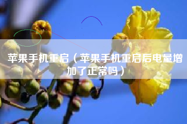 苹果手机重启（苹果手机重启后电量增加了正常吗）