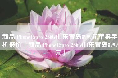 新品iPhone15pro 256G山东青岛8999元苹果手机报价「新品iPhone15pro 256G山东青岛8999元」