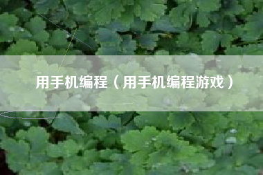 用手机编程（用手机编程游戏）