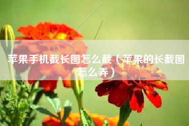 苹果手机截长图怎么截（苹果的长截图怎么弄）