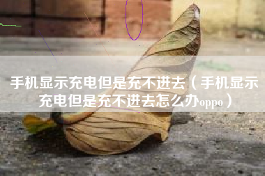 手机显示充电但是充不进去（手机显示充电但是充不进去怎么办oppo）