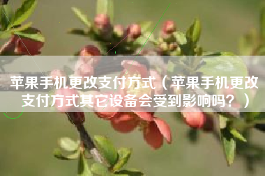 苹果手机更改支付方式（苹果手机更改支付方式其它设备会受到影响吗？）