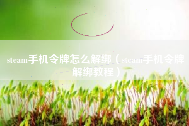 steam手机令牌怎么解绑（steam手机令牌解绑教程）