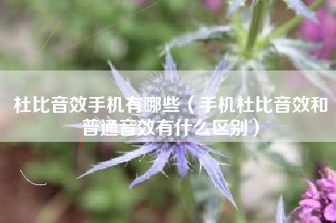 杜比音效手机有哪些（手机杜比音效和普通音效有什么区别）