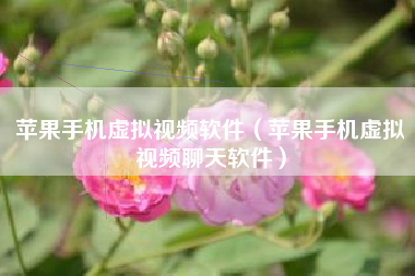 苹果手机虚拟视频软件（苹果手机虚拟视频聊天软件）